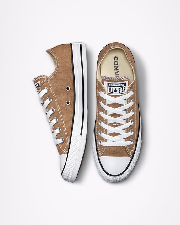 Brown Converse Chuck Taylor All Star Seasonal Colour Low Top | A21890R