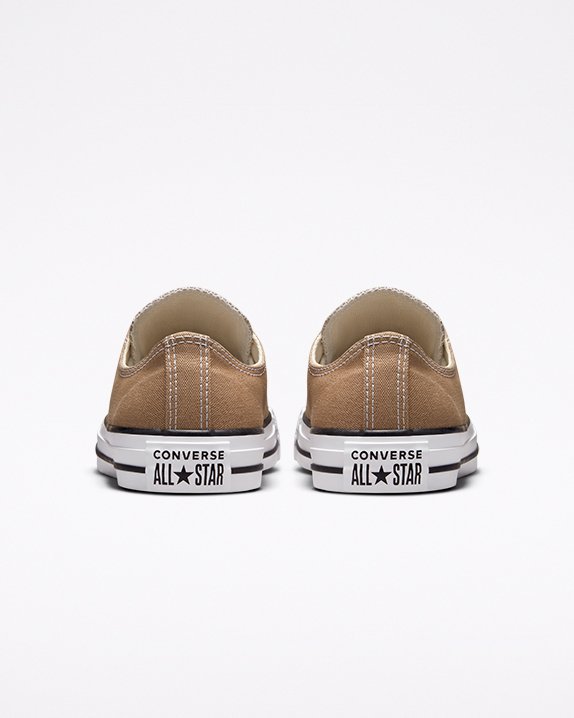 Brown Converse Chuck Taylor All Star Seasonal Colour Low Top | A54603U